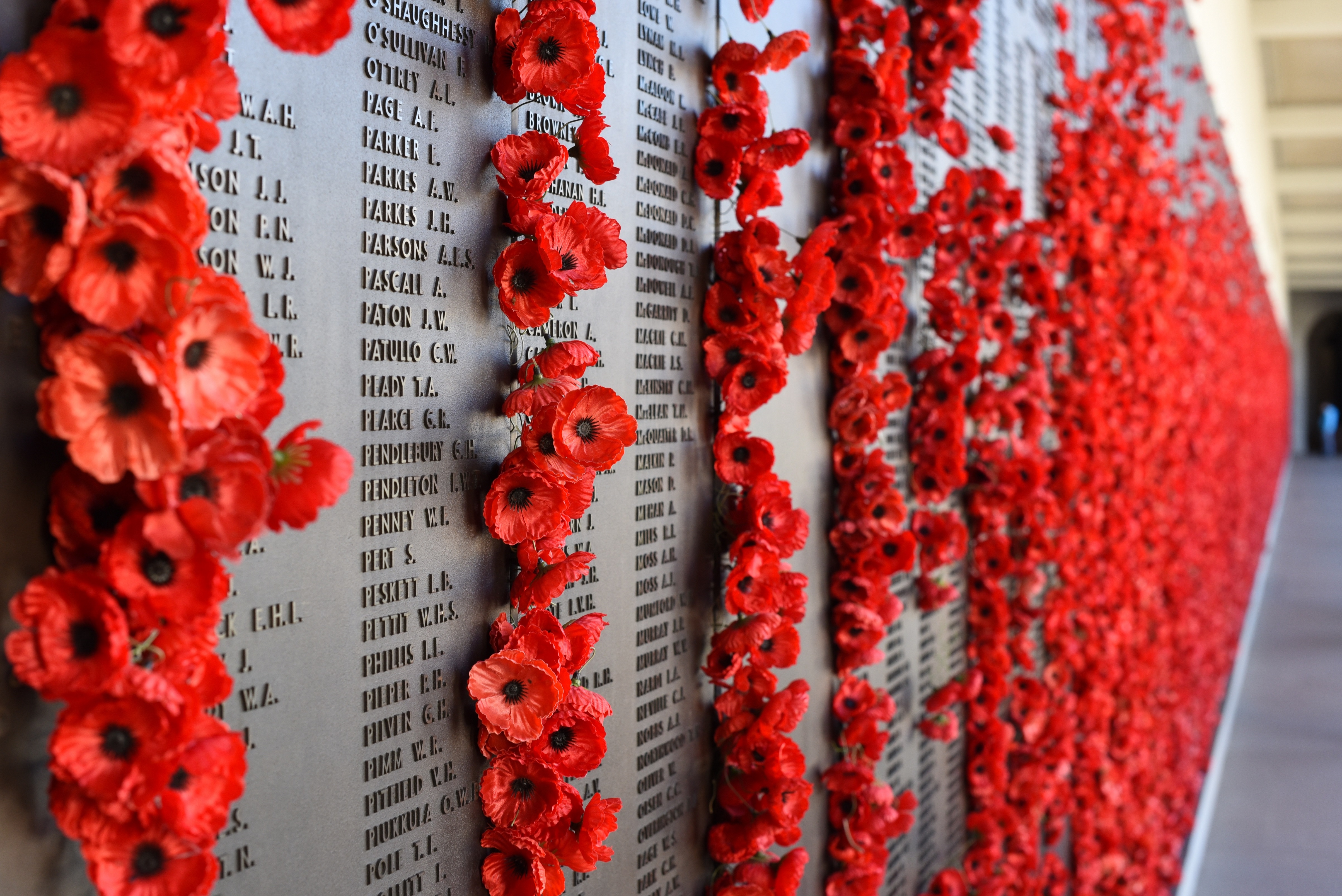 Anzac Day remembrance wall / Lest We Forget by gerard4170