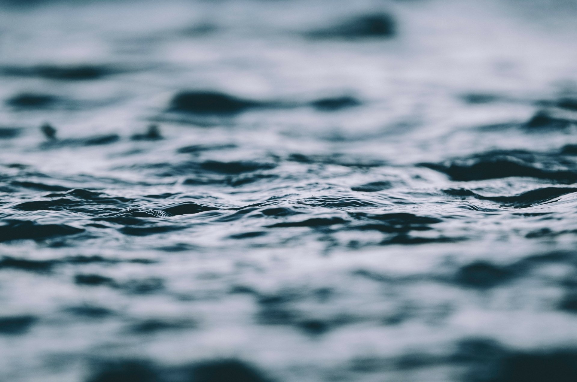 Close-up of gently rippling water in nature, captured in stunning 4K Ultra HD quality for a crisp, immersive PC desktop wallpaper experience.