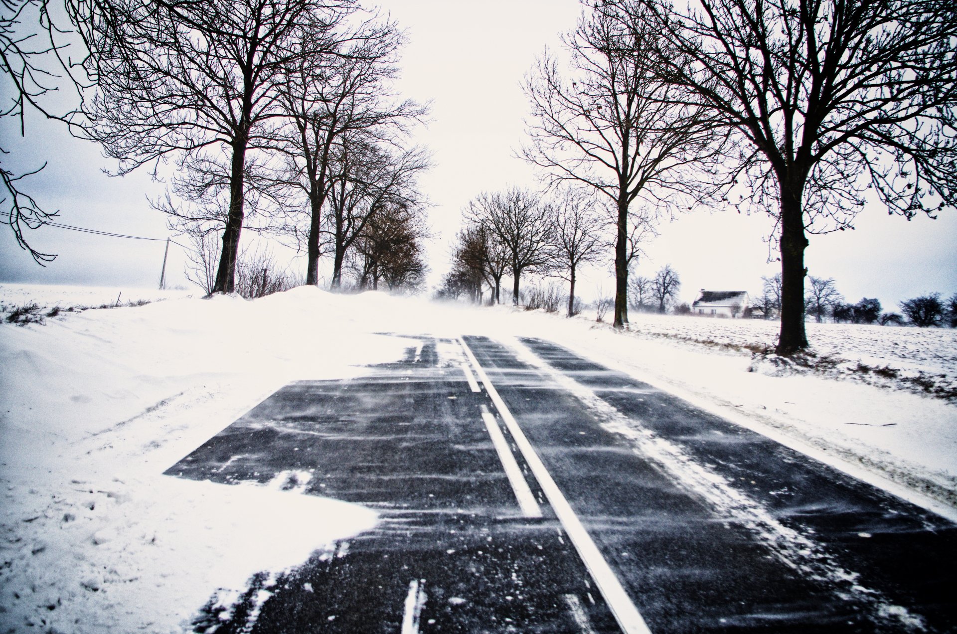 Winter Lane — Snowy Road Through Bare Trees | 4K Ultra HD Wallpaper ...
