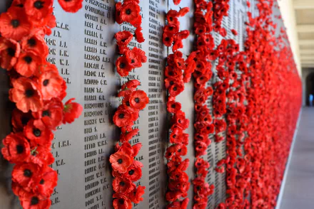 4K Ultra HD PC desktop wallpaper and background: red poppies pinned along a memorial wall of names, an ANZAC Day holiday tribute.