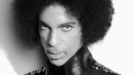 Black & White face American singer Prince (Singer) music prince HD Desktop Wallpaper | Background Image