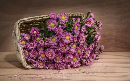  Purple Flowers in Basket