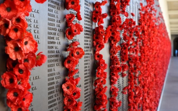 Holiday Anzac Day Wall Poppy HD Wallpaper | Background Image