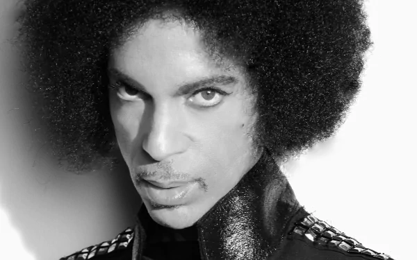 Black and white close-up portrait of American singer Prince with afro hairstyle, featured as an HD PC desktop wallpaper.