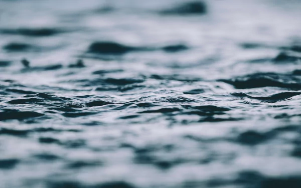 Close-up of gently rippling water in nature, captured in stunning 4K Ultra HD quality for a crisp, immersive PC desktop wallpaper experience.