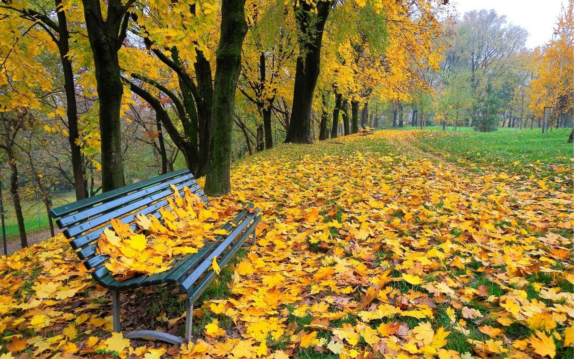 Bench in Autumn Park