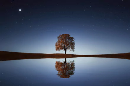 HD PC desktop wallpaper: lonely tree on a shore, its reflection mirrored in calm water beneath a blue, star-speckled sky with a bright moon.