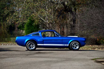 muscle car Shelby Mustang GT 350SR vehicle Shelby Mustang GT 350 HD Desktop Wallpaper | Background Image