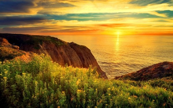 Nature Coastline Coast Ocean Flower Sunset Horizon HD Wallpaper | Background Image