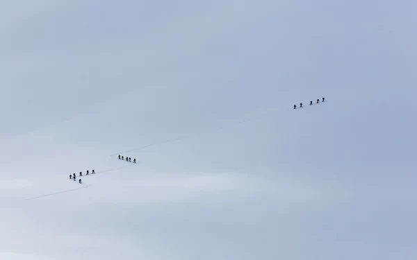 Minimalist 4K Ultra HD wallpaper showing mountaineers trekking across a vast, snowy winter landscape with soft, muted tones and expansive sky.