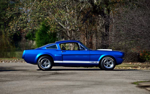 muscle car Shelby Mustang GT 350SR vehicle Shelby Mustang GT 350 HD Desktop Wallpaper | Background Image