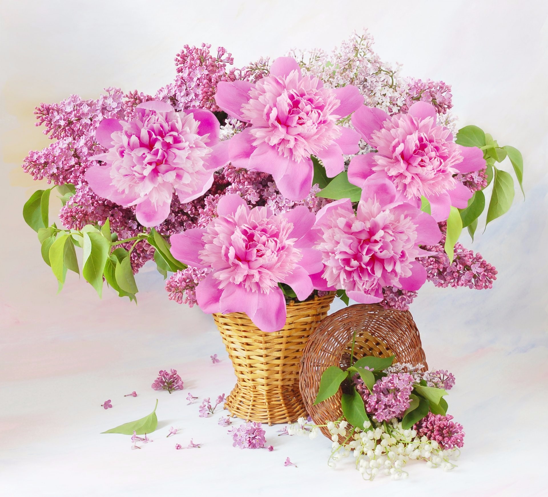 Download Pink Flower Basket Lilac Flower Photography Still Life HD ...