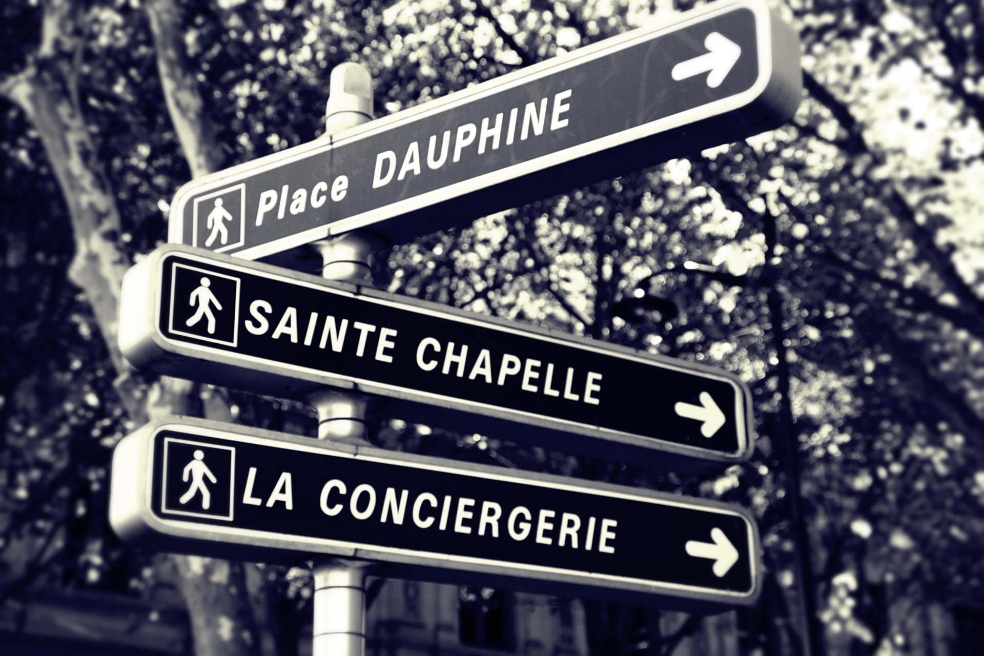 Signals in Paris by LANC