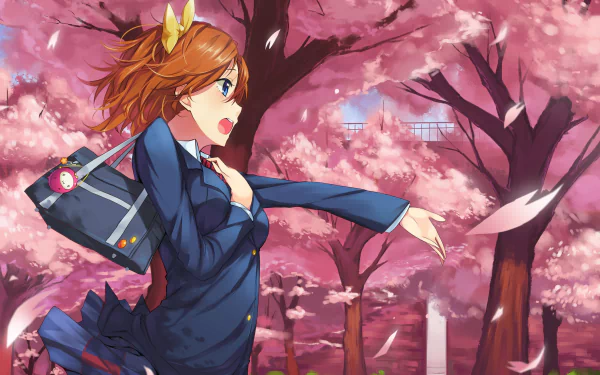 Anime character Honoka Kousaka from Love Live! runs joyfully among blooming cherry blossom trees, capturing a vibrant scene full of energy and color in this HD desktop wallpaper.