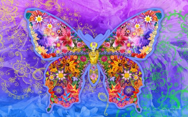 Artistic Butterfly Colors Colorful Flower HD Wallpaper | Background Image