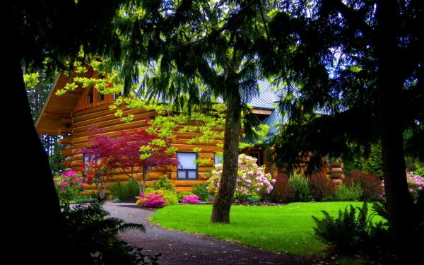 336 Cabin HD Wallpapers | Background Images - Wallpaper Abyss - Page 4