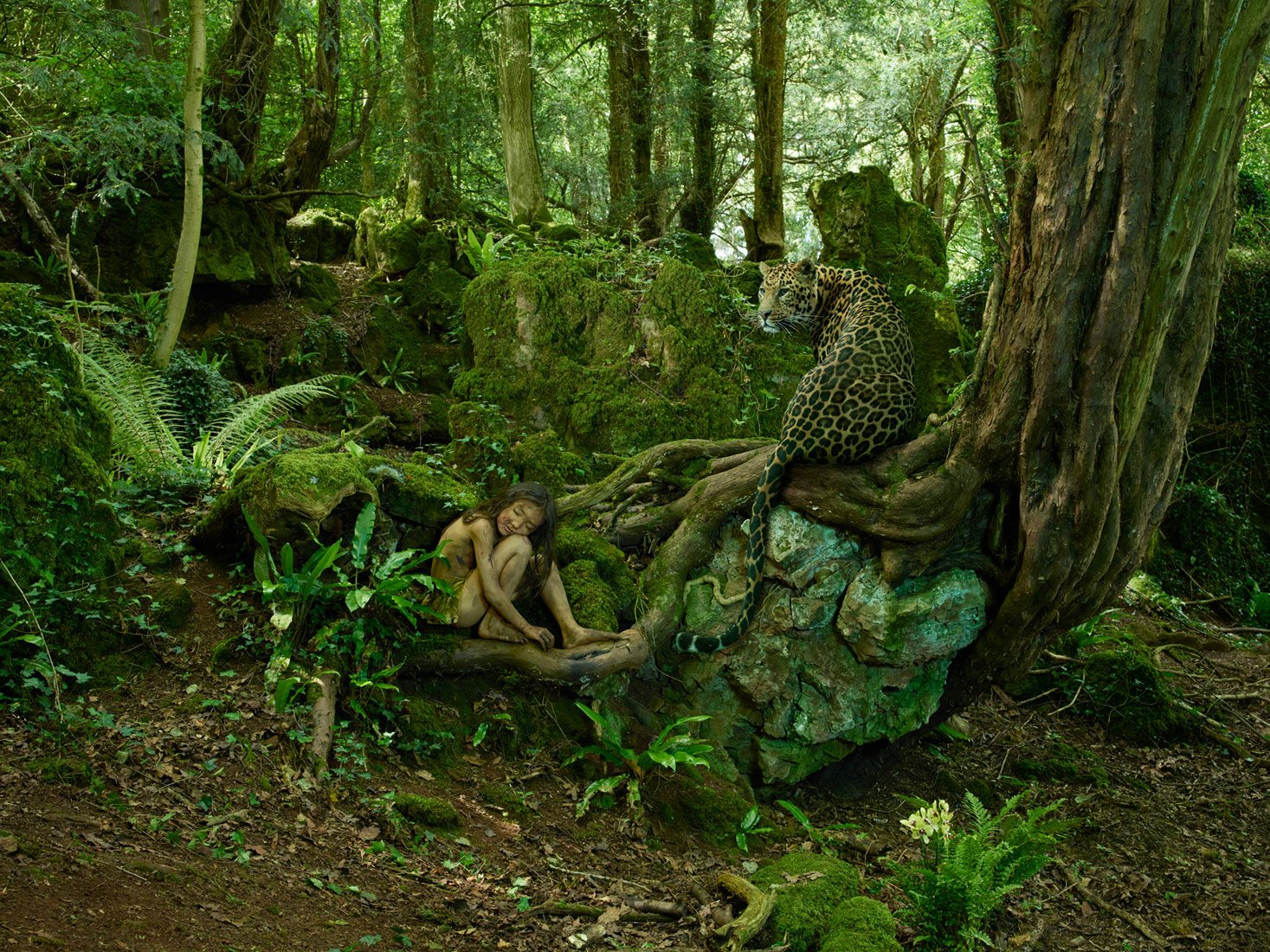 A mystical forest scene with a fairy-tale woman sitting on tree roots beside a leopard, blending fantasy elements in an HD PC desktop wallpaper background.