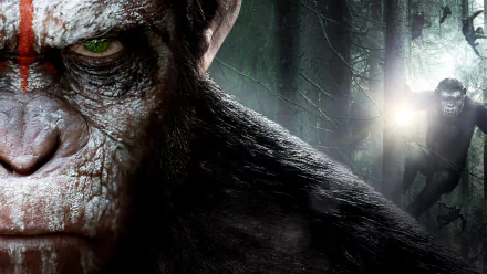 Dawn of the Planet of the Apes movie HD PC desktop wallpaper: close-up of a scarred ape's face with a second ape holding a light in a misty forest.