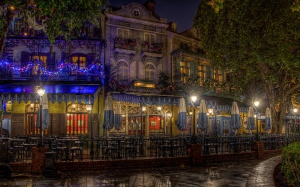 Man Made Disneyland Disney Light Christmas Street Light Dark Night Tree HD Wallpaper | Background Image
