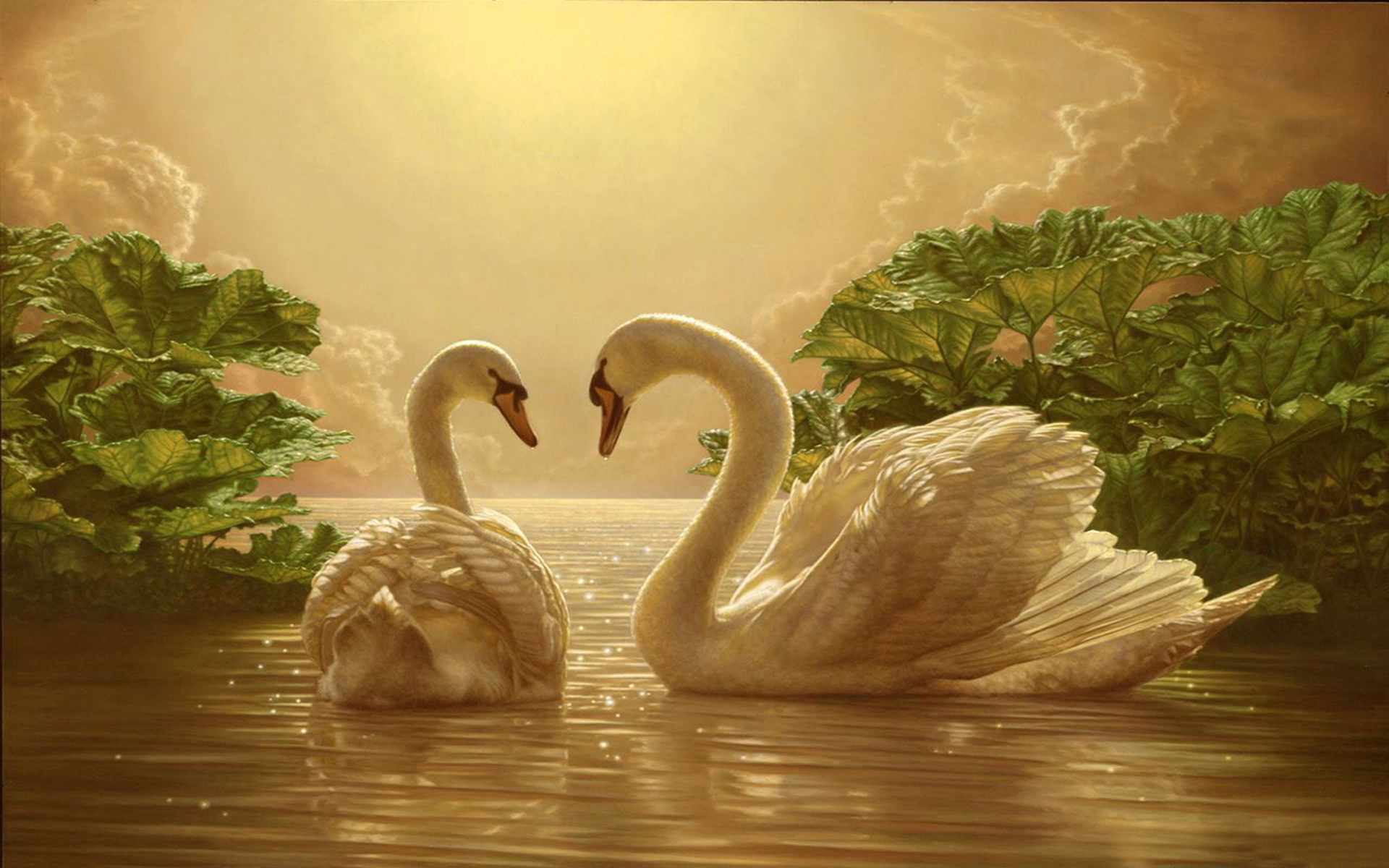 20+ Swan wallpapers HD | Download Free backgrounds