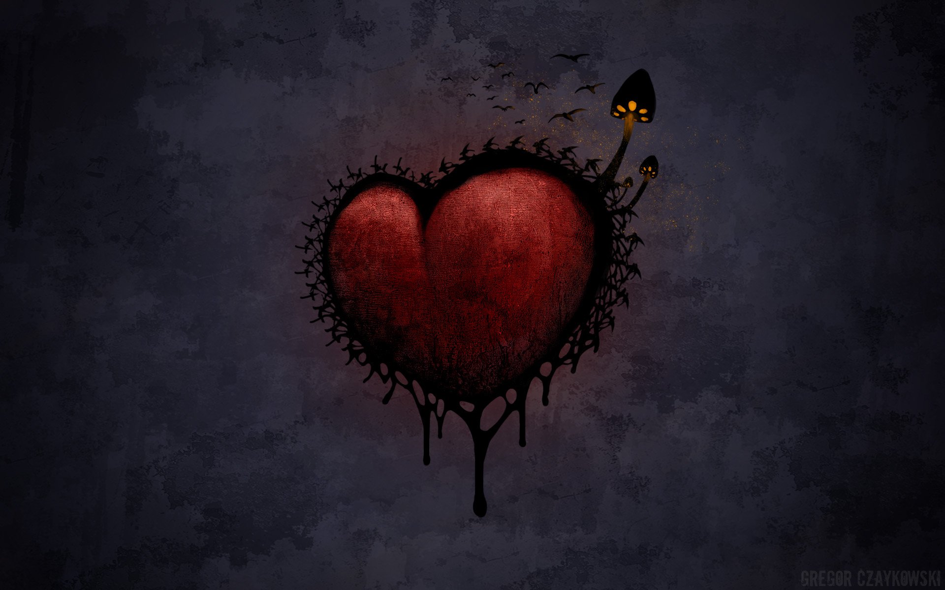 Download Bird Red Artistic Heart HD Wallpaper by Gregor Czaykowski
