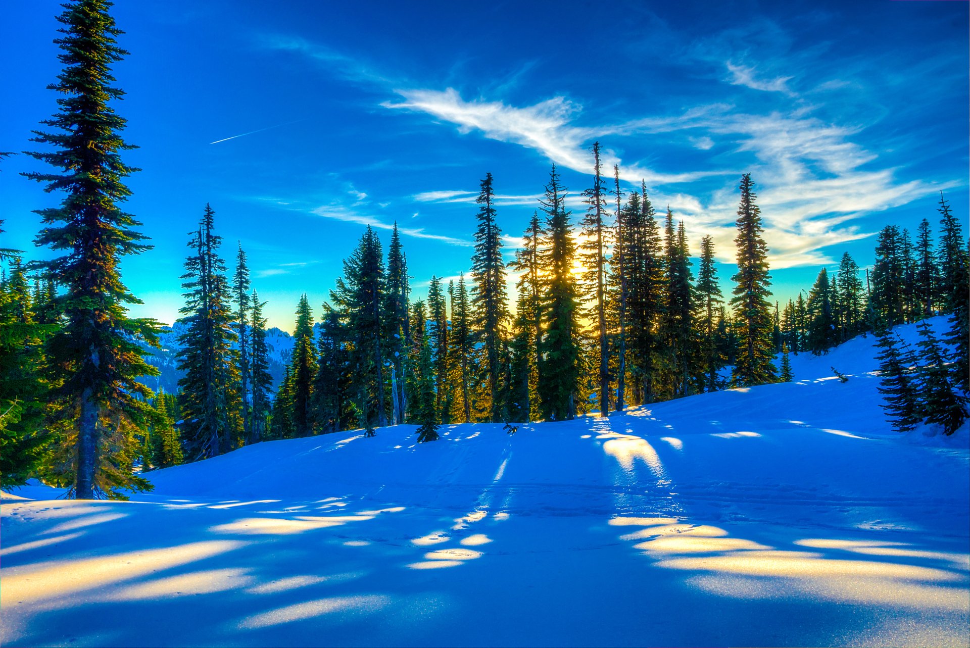 Download Sun Sunset Snow Pine Tree Nature Winter Winter Sunset HD ...