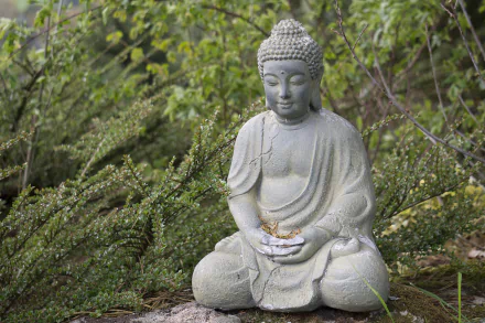 A serene Buddha statue nestled among greenery, capturing the essence of Buddhism and spirituality. This HD image serves as a tranquil desktop wallpaper and background.