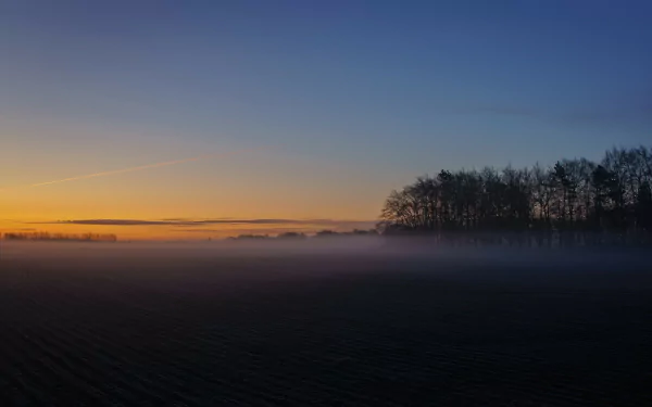 nature fog HD Desktop Wallpaper | Background Image