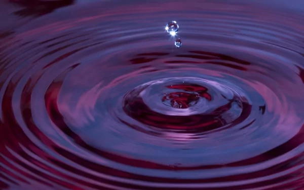 nature water drop HD Desktop Wallpaper | Background Image