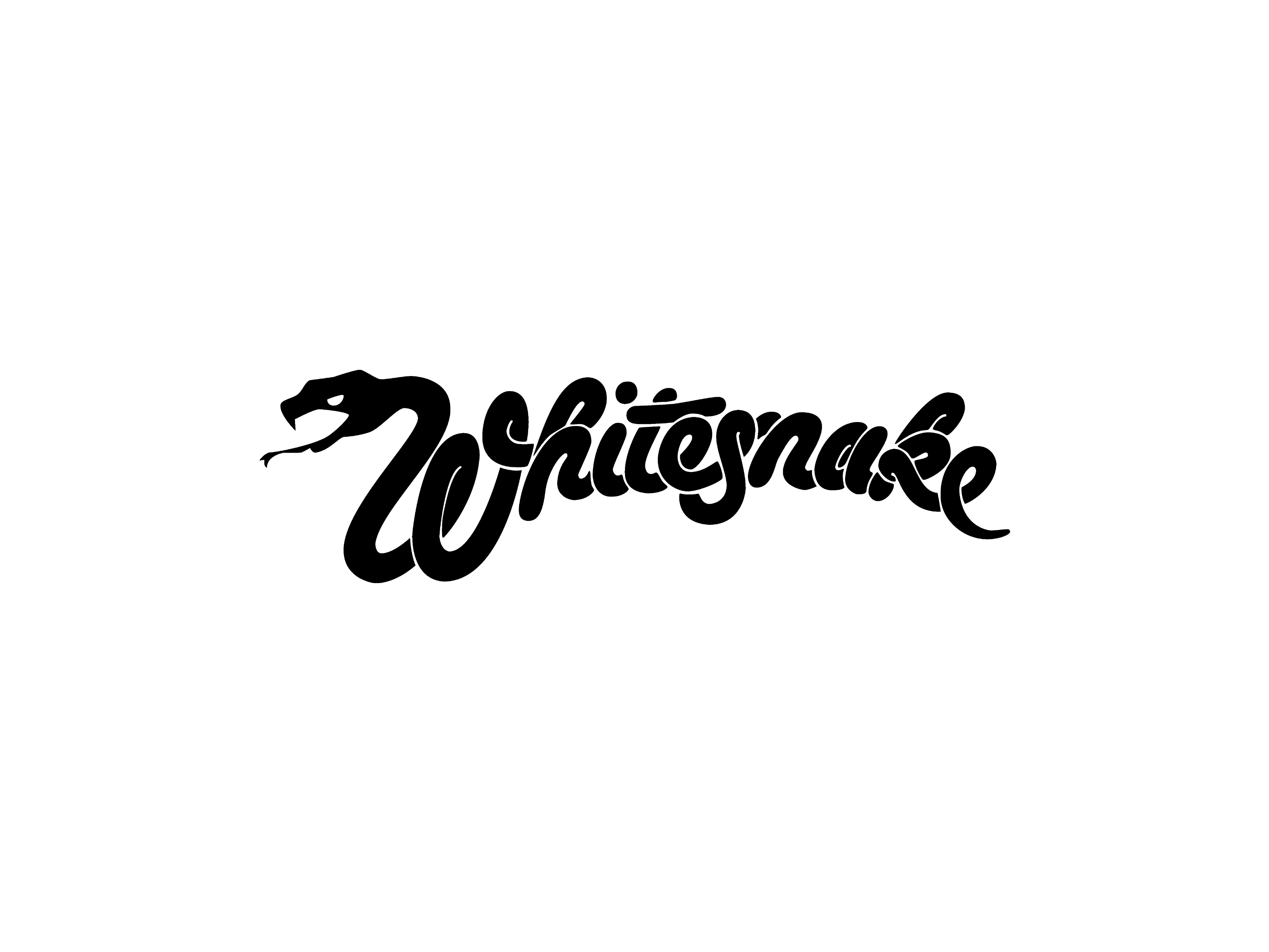 Music Whitesnake HD Wallpaper | Background Image