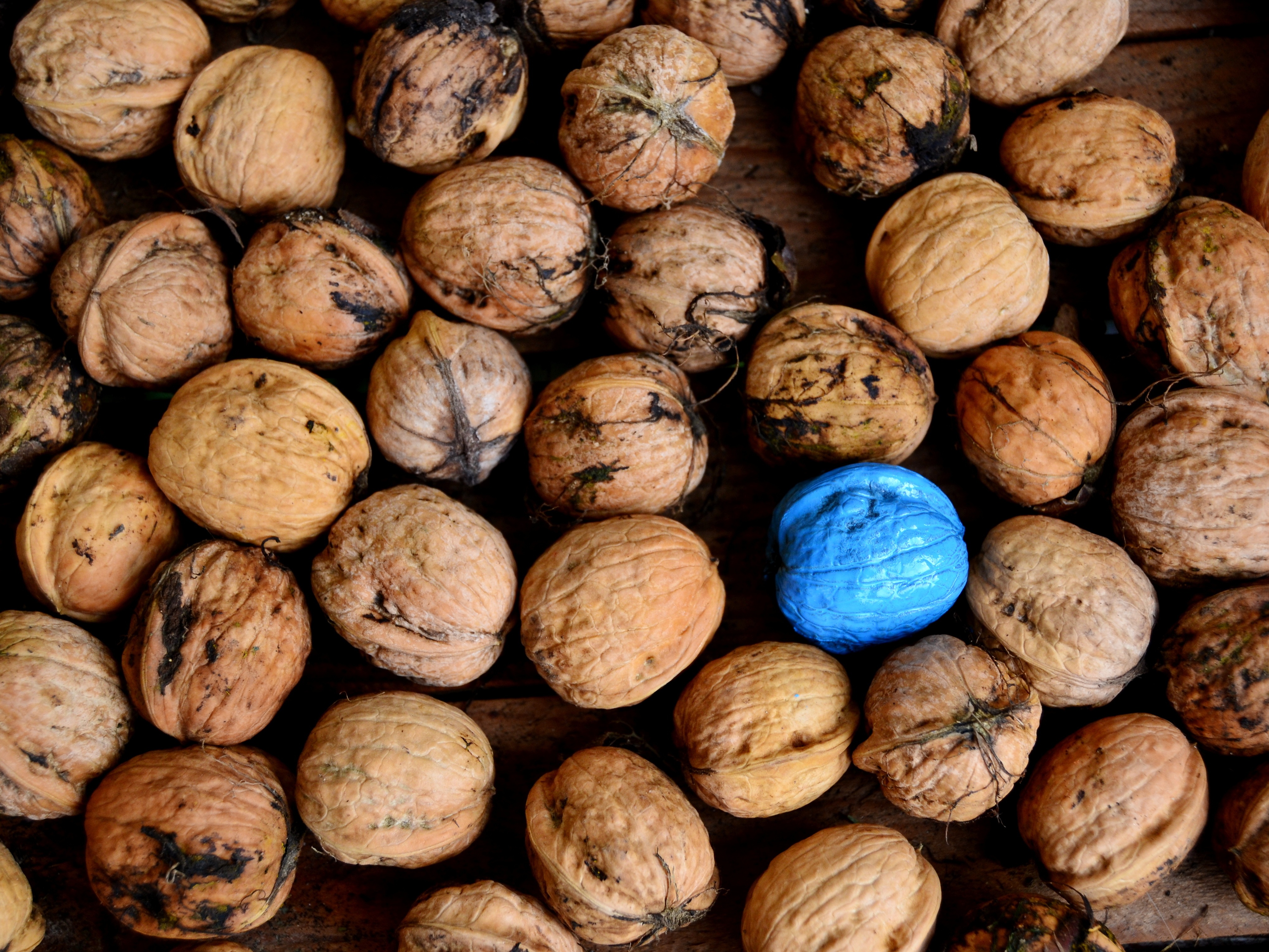 Nutrition Smack Down: Healthiest Nuts - Health News Hub