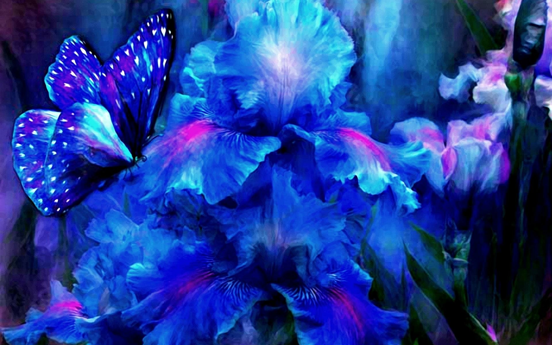 Download Blue Iris Artistic Butterfly HD Wallpaper