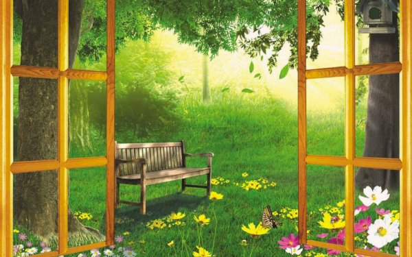 Artistic Window Spring Bench Tree Flower HD Wallpaper | Background Image