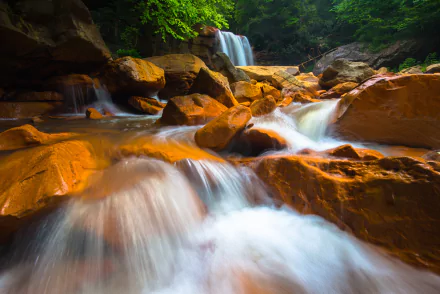  forest waterfall by Joseph Rossbach