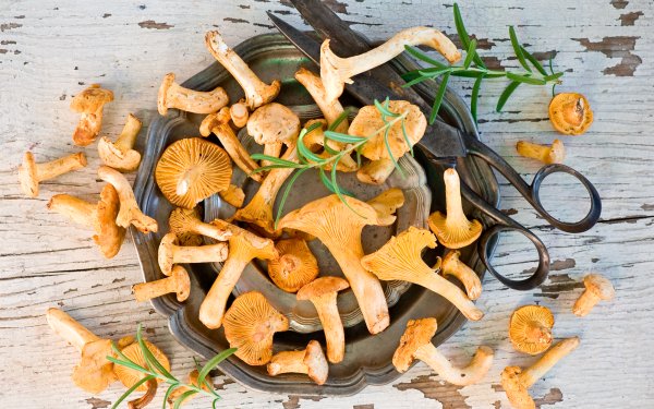 Food Mushroom HD Wallpaper | Background Image