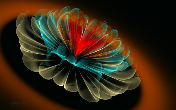 Abstract Fractal Flower HD Wallpaper | Background Image