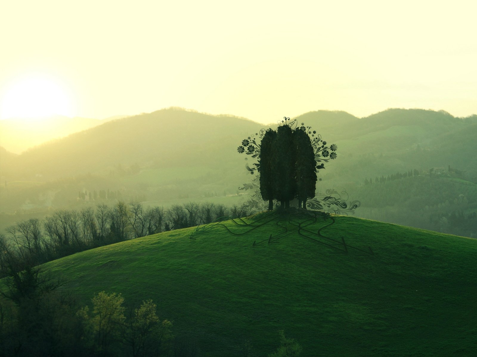 Artistic HD nature wallpaper featuring two tall trees on a lush green hill with a soft sunrise and misty hills in the background.