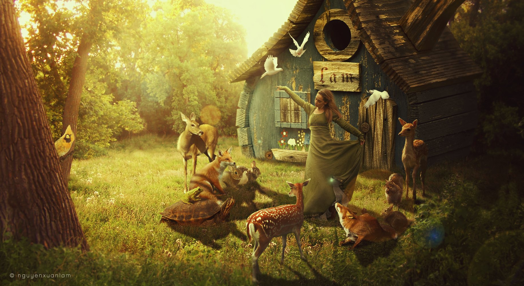 Download Fantasy Forest Wallpaper by Nguyen Xuan Lam