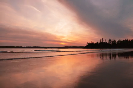  Beach at Tofino, on Vancouver Island off Canada's west coast. by SHAWSHANK61