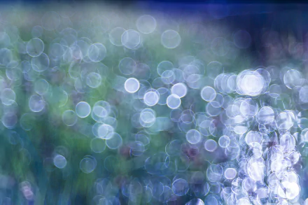 artistic bokeh HD Desktop Wallpaper | Background Image