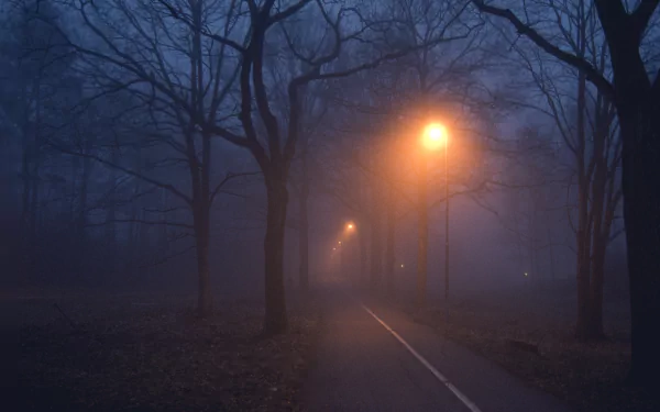 Dark and Foggy Road