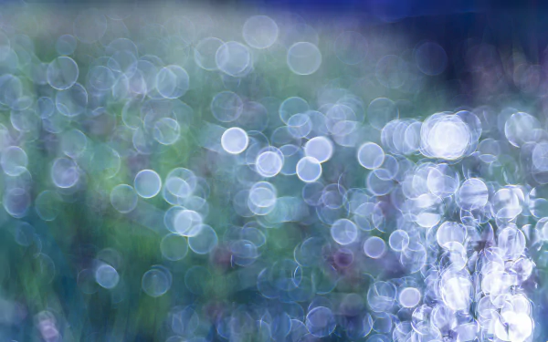 Artistic bokeh effect with soft blue and green light circles creating an abstract, dreamy HD PC desktop wallpaper and background.