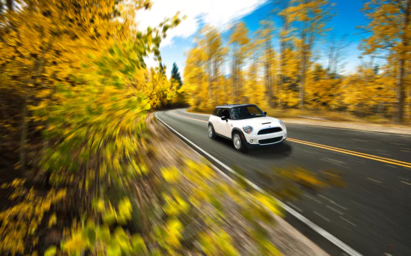 A white Mini Cooper S compact car driving on a road lined with autumn trees, captured in sharp 4K Ultra HD quality as a desktop wallpaper and background.