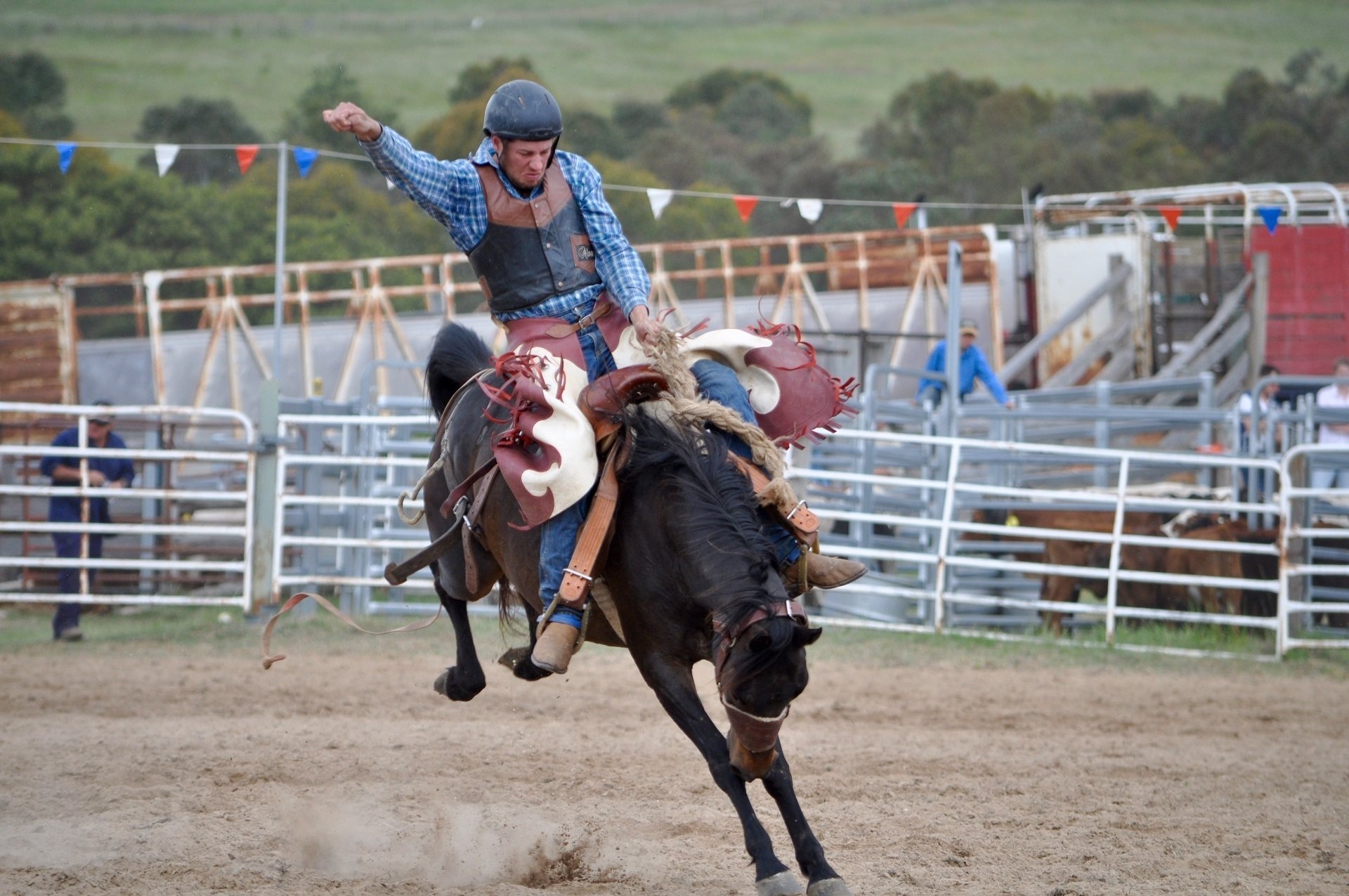 Download Horse Cowboy Rodeo Sports HD Wallpaper by skeeze