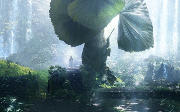 Fantasy Forest Tree Leaf Sunny Stairs HD Wallpaper | Background Image