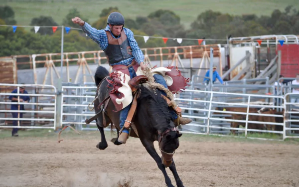 A rodeo cowboy riding a bucking bull in an outdoor arena with fencing and colorful pennant flags, captured as a dynamic HD desktop wallpaper background.