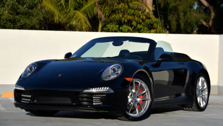 Black Porsche 911 Carrera 4S convertible parked by a white wall with palm trees — 4K Ultra HD PC desktop wallpaper.