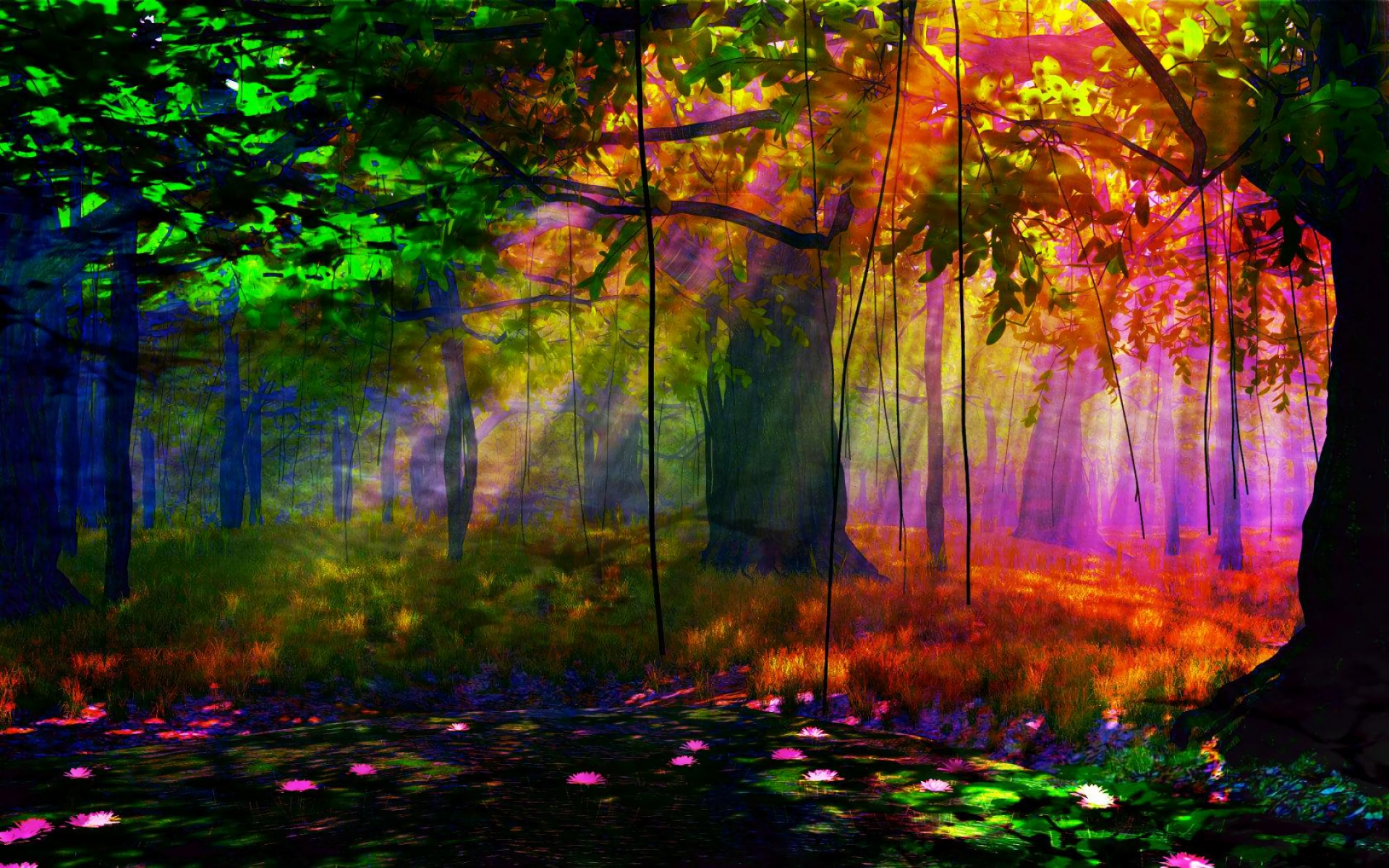 Forest Sunlight Colors