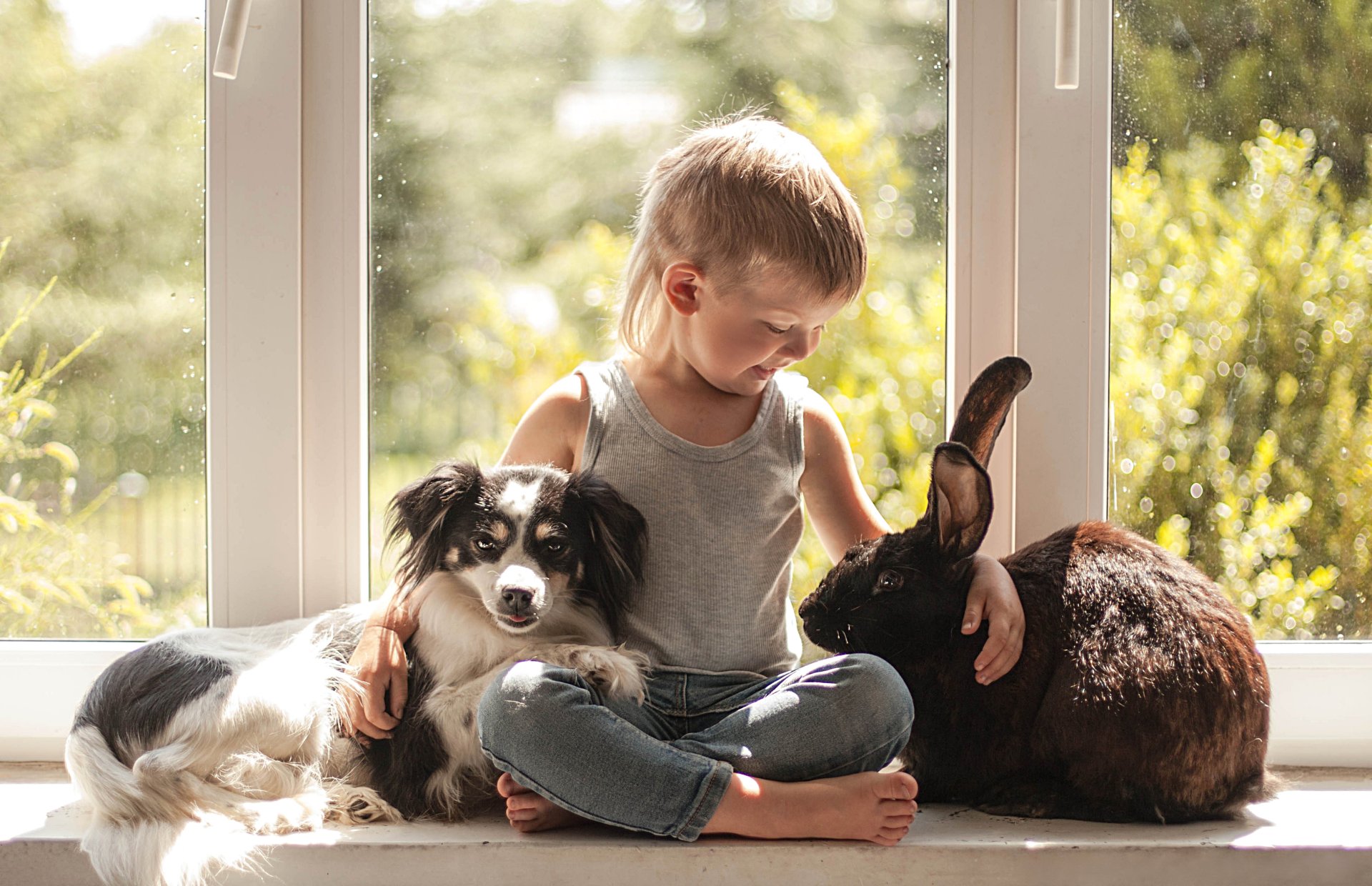 Download Little Boy Rabbit Dog Photography Child 4k Ultra HD Wallpaper