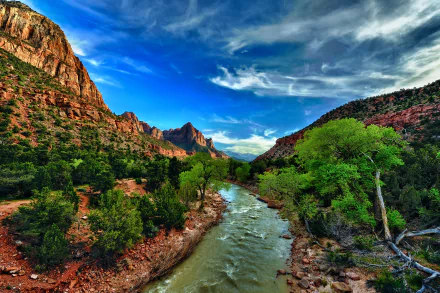landscape bush nature river HD Desktop Wallpaper | Background Image